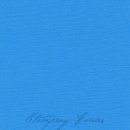 Bazzill Leinenstruktur CS "Pauly Po"